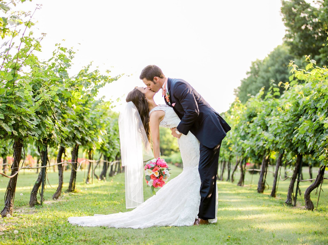 Mitas Hill Vineyard-麦金尼必去景点