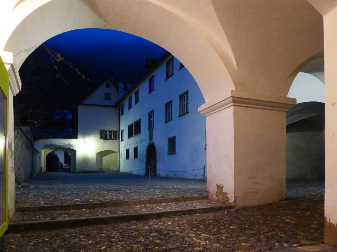 Castle Haldenstein景点图片