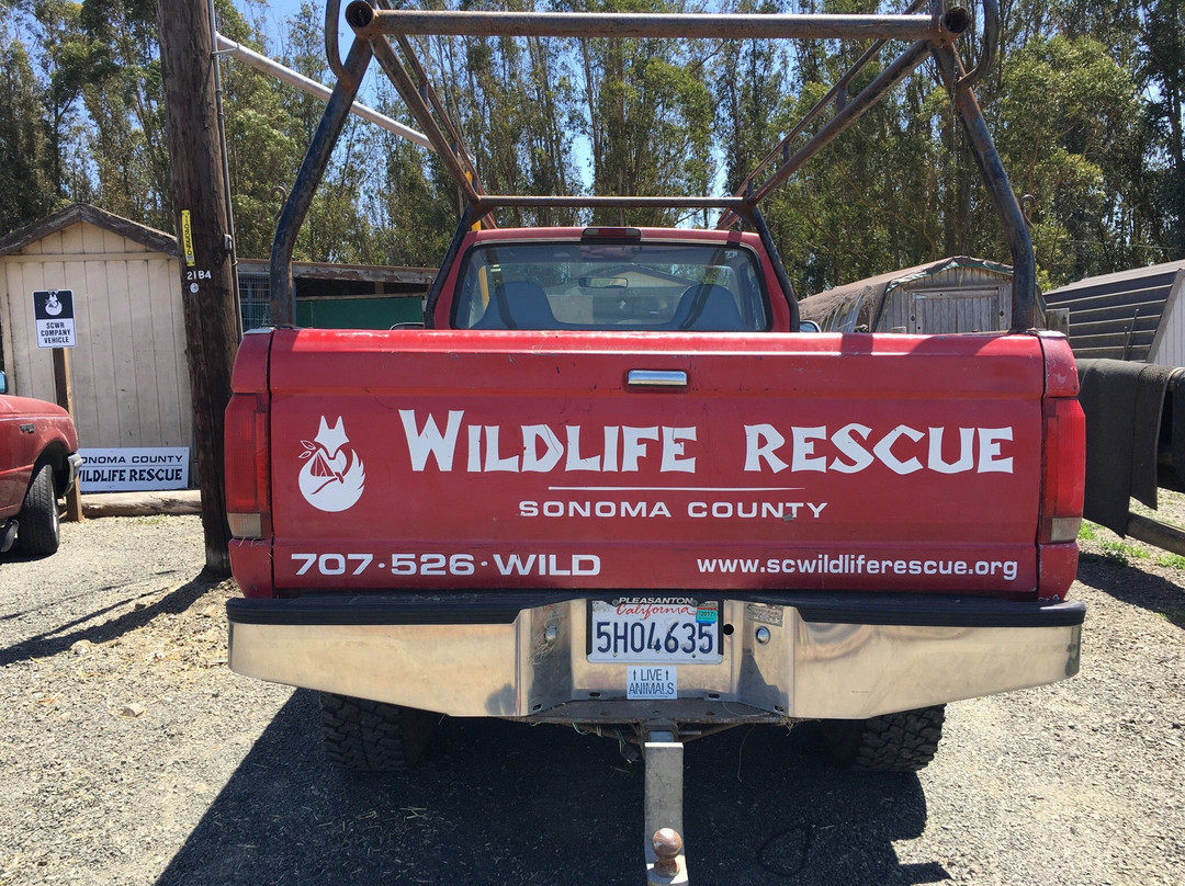 Sonoma County Wildlife Rescue景点图片