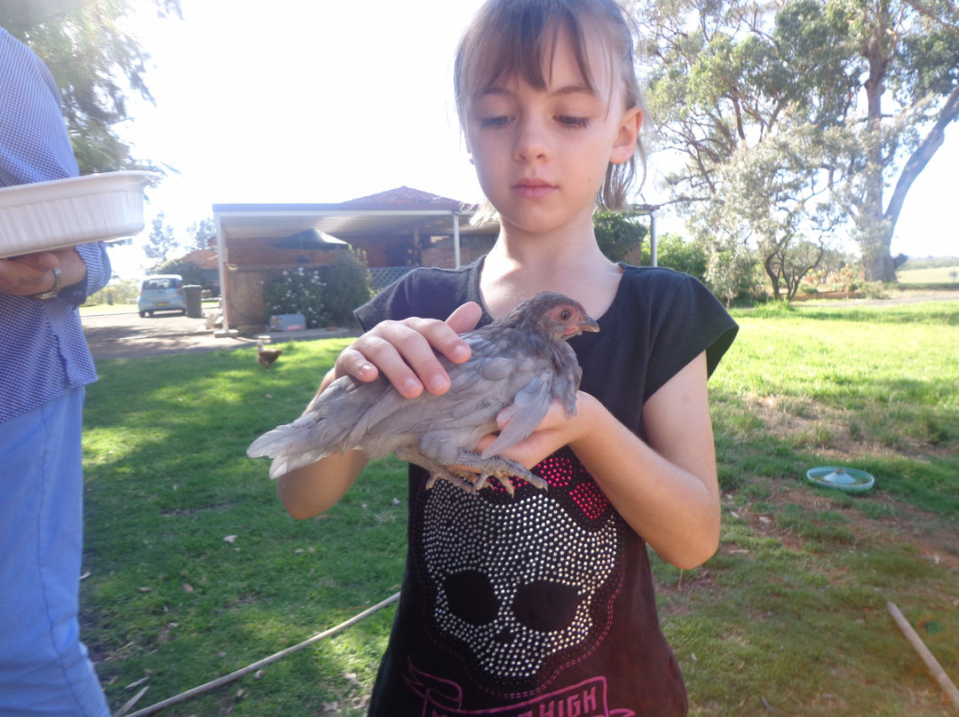 Walls Court Bed & Breakfast主图