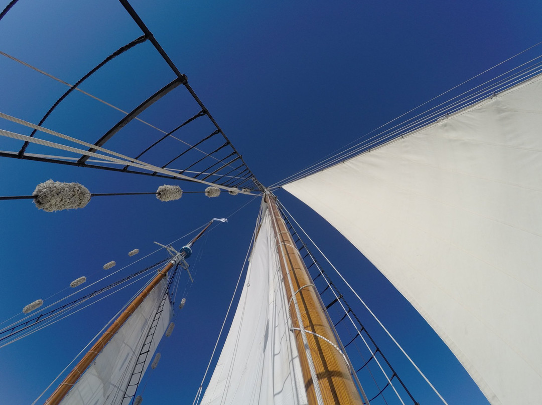 Schooners North景点图片