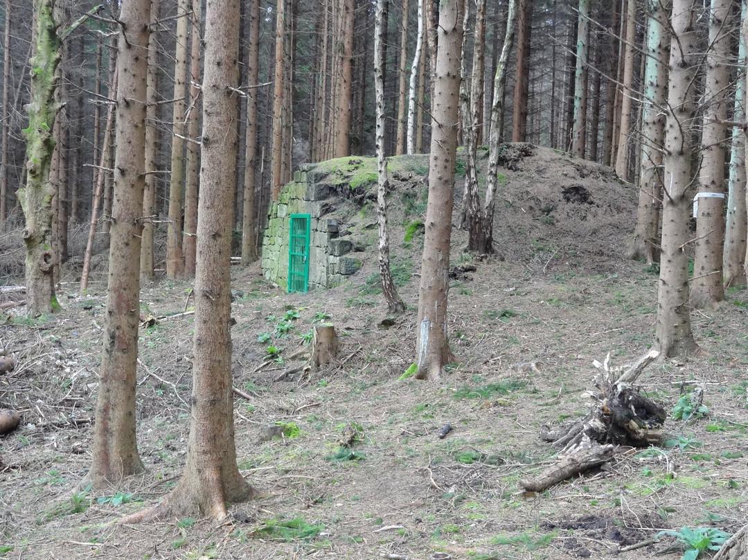 Devilla Forest-Kincardine必去景点