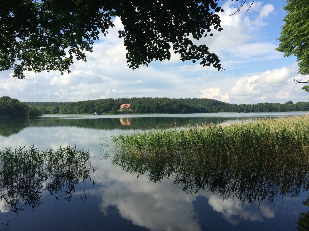 Seehotel Lichtenberg主图