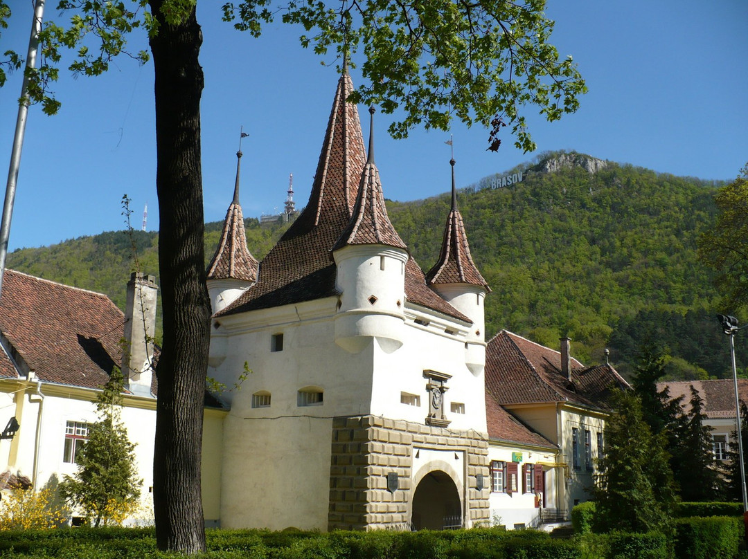 Tour Guide Braşov景点图片