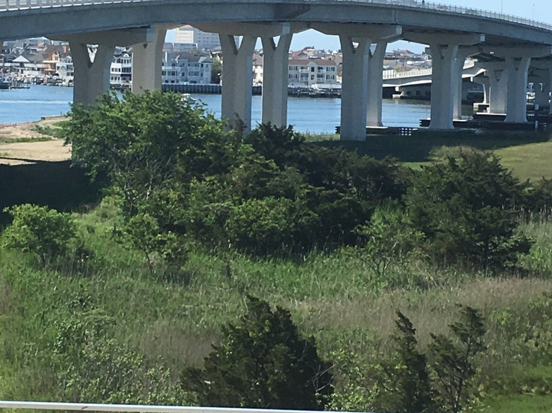 Great Egg Harbor Bay景点图片