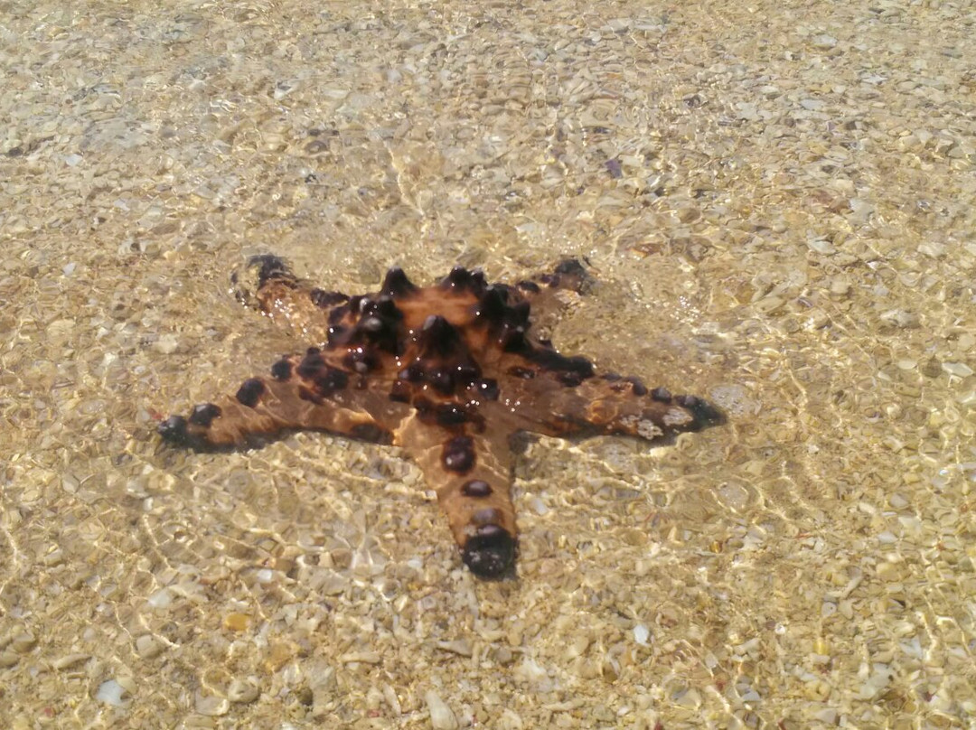 Burot Beach-卡拉塔根必去景点