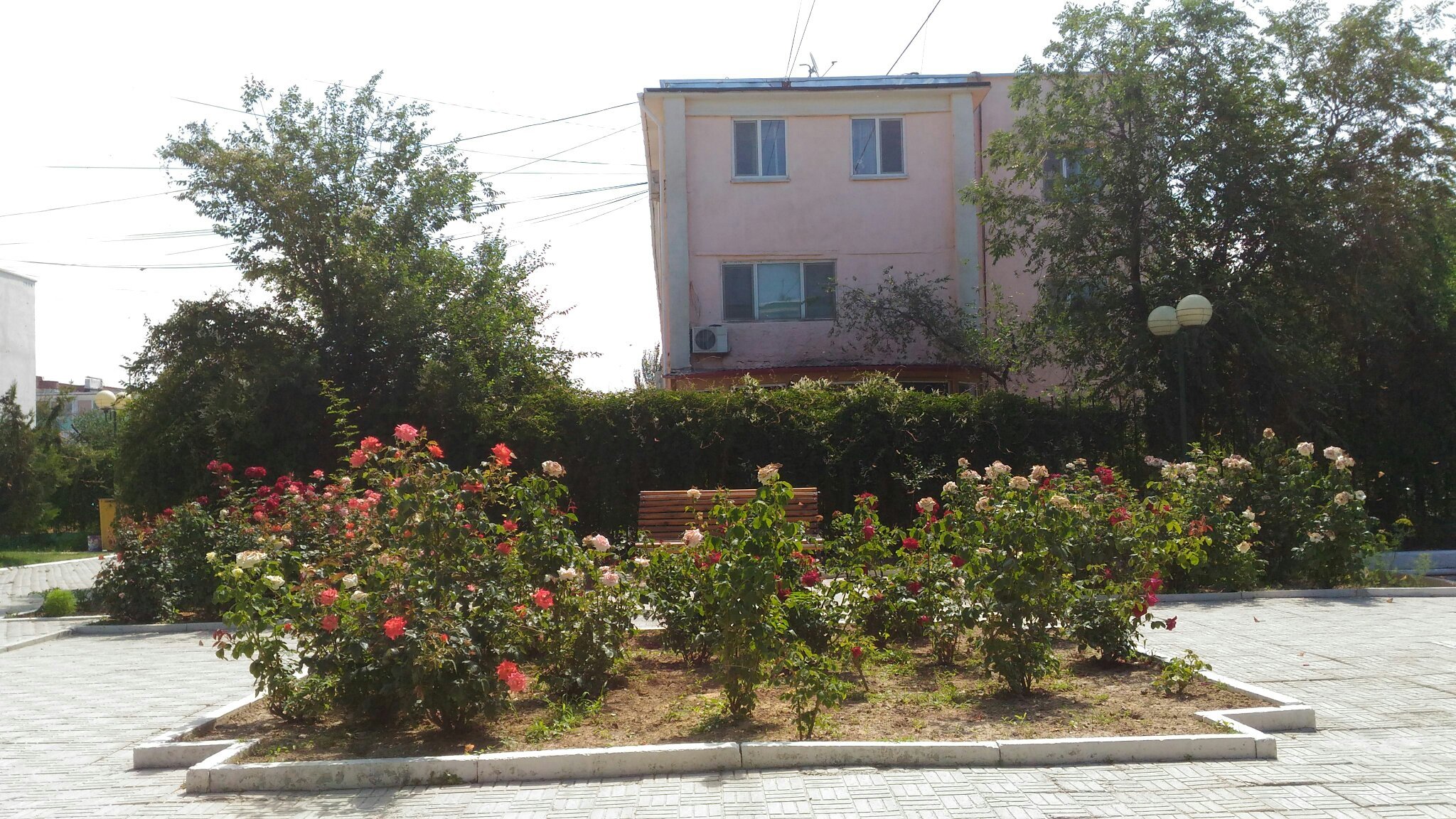 Hotel Zelenaya-官方