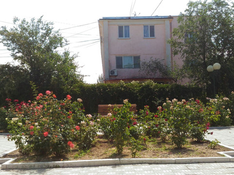 Aqtau酒店住宿-Hotel Zelenaya