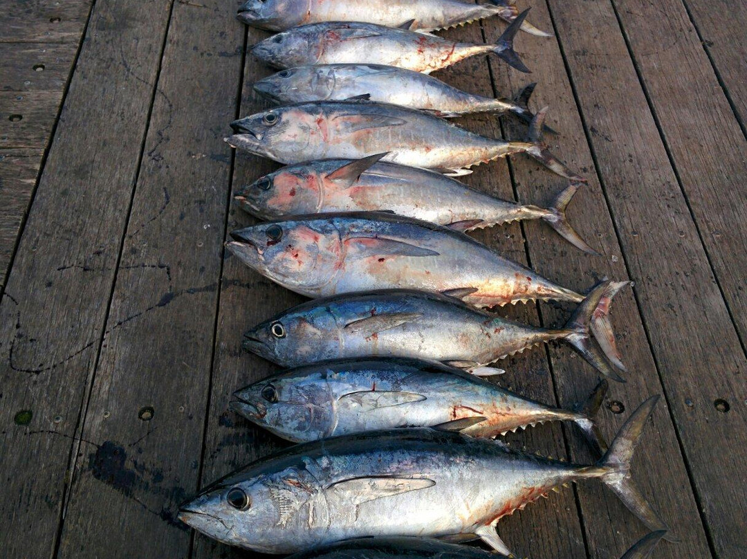 Southern Coast Charters-仙女港必去景点