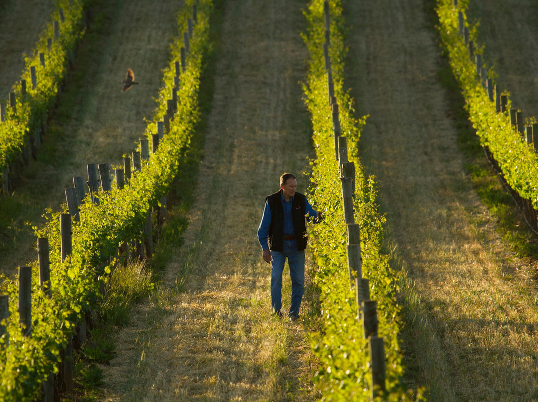 Seize the Day Wines景点图片