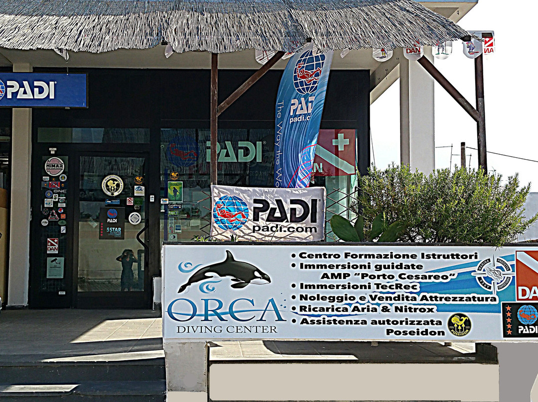 Orca Diving Center景点图片