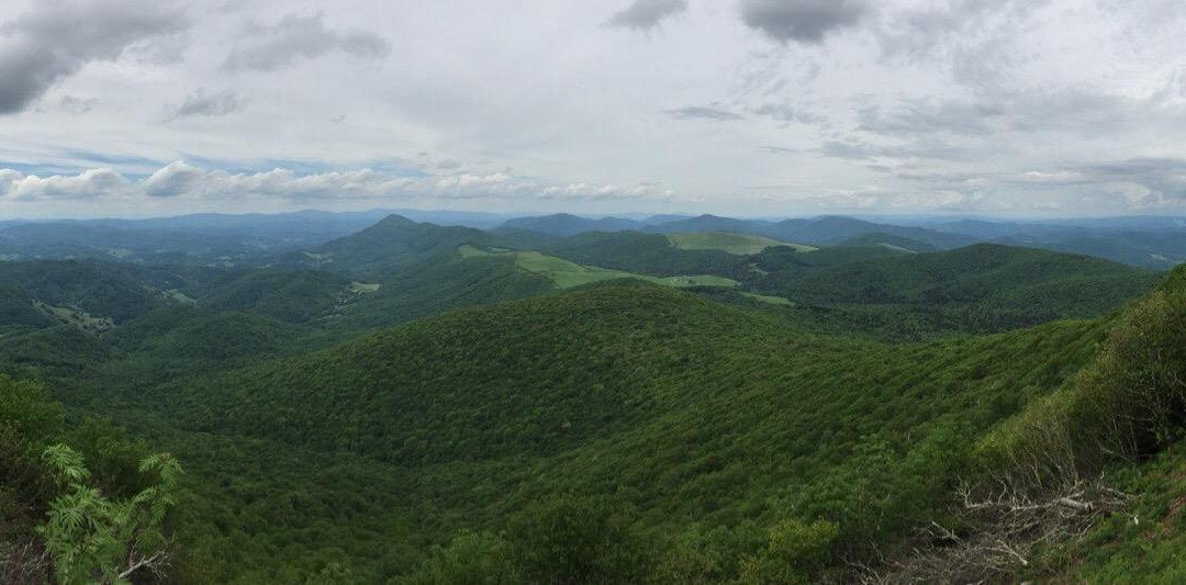 Elk Knob State Park景点图片