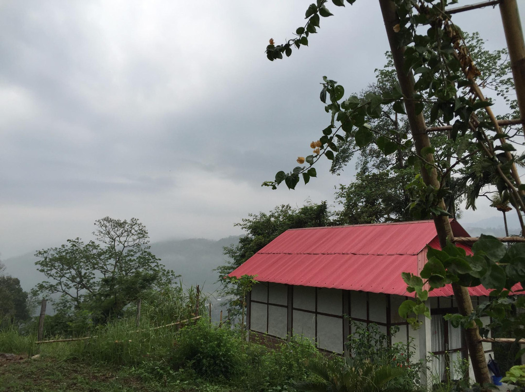 Petrichor Farms景点图片