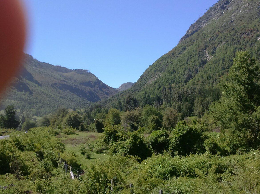 Reserva Nacional China Muerta-Araucania Region必去景点
