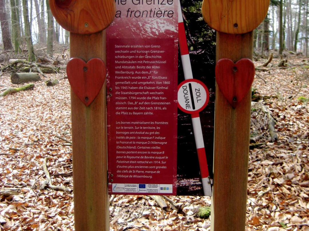Nothweilerer Grenzgängerweg景点图片