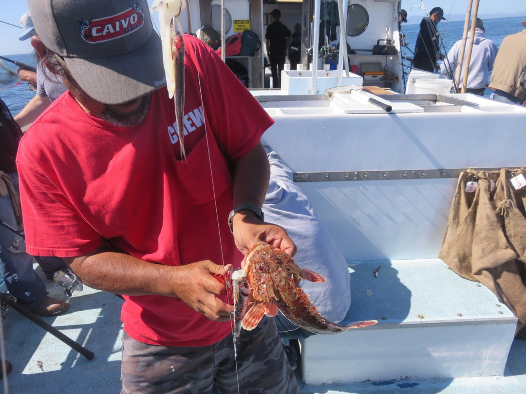 Newport Landing Sportfishing-纽波特海滩必去景点