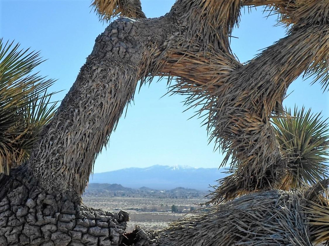 Antelope Valley Indian Museum State Historic Park-兰开斯特必去景点
