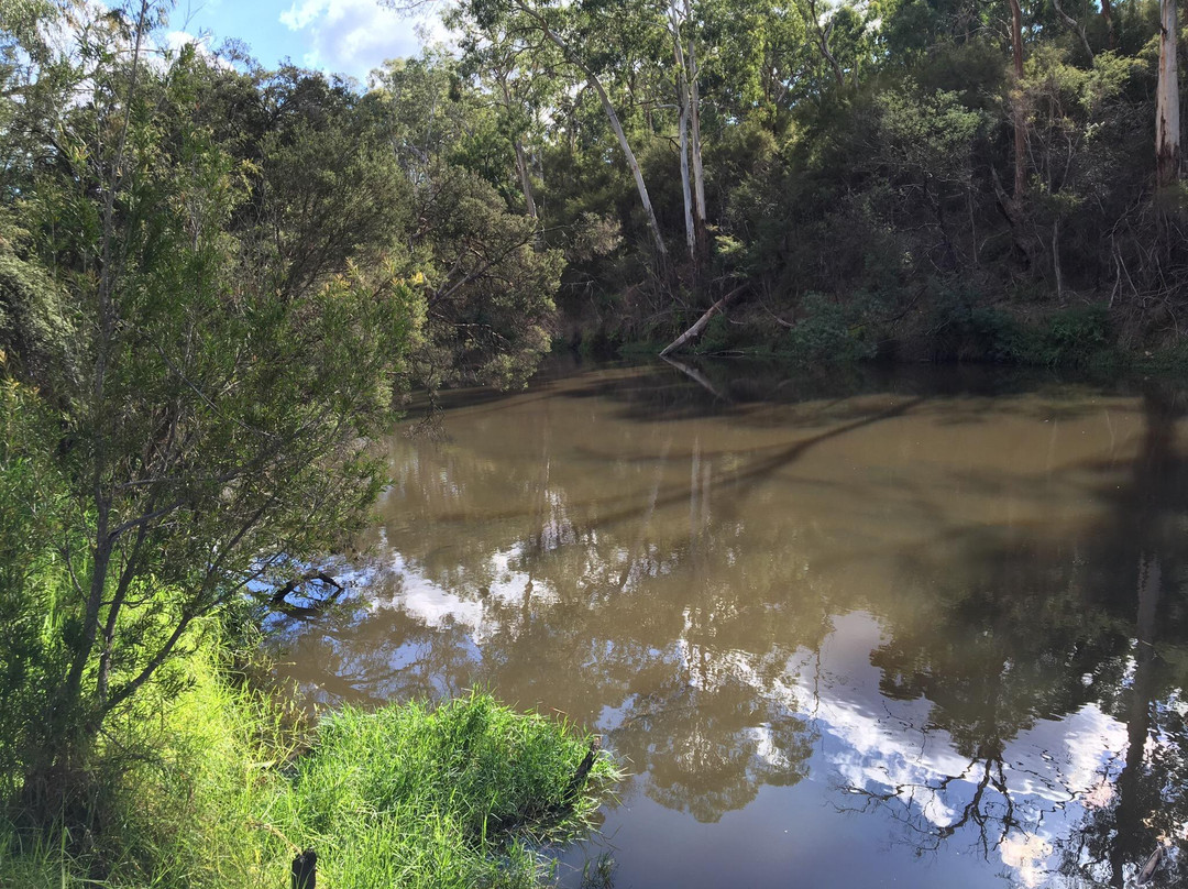 Stiggants Reserve景点图片