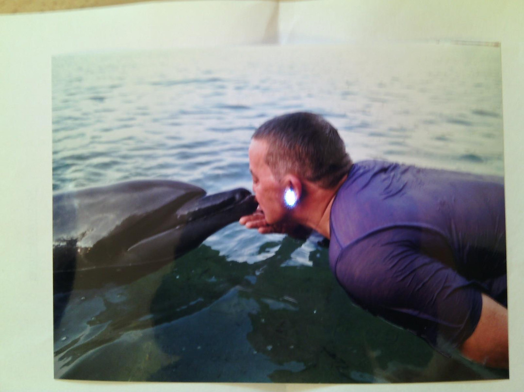 Tree Top Adventure Subic-苏比克湾自由贸易区必去景点