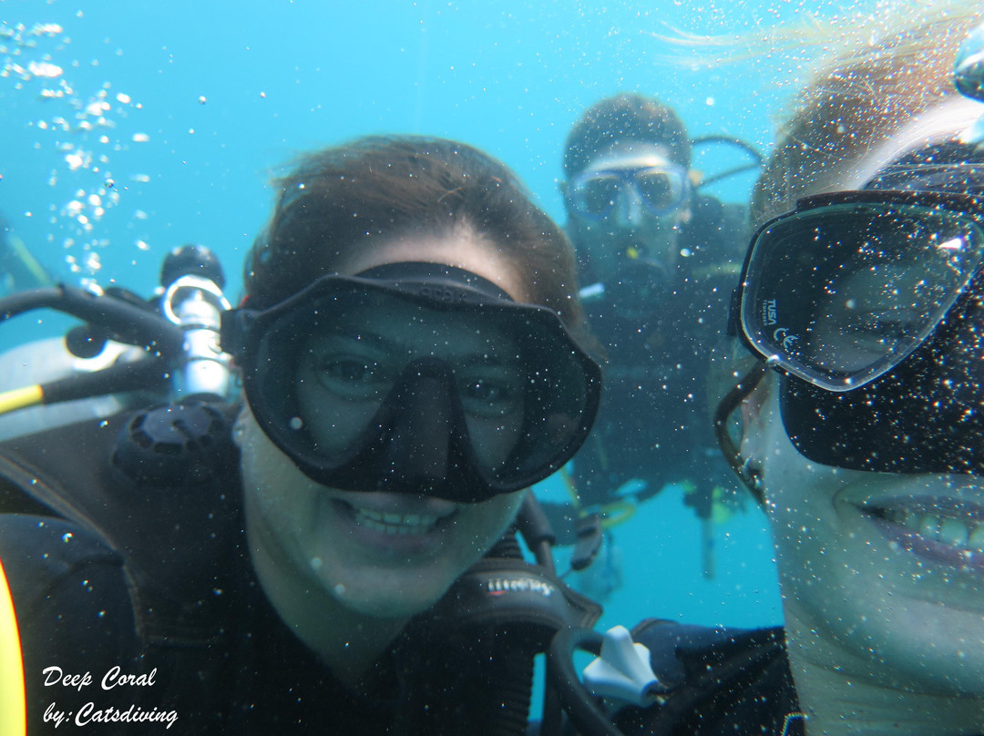 Deep Coral-圣玛尔塔必去景点