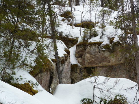 Pinezhsky District旅游攻略图片