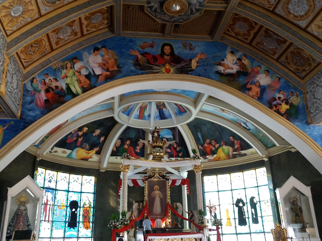 National Shrine of the Divine Mercy景点图片