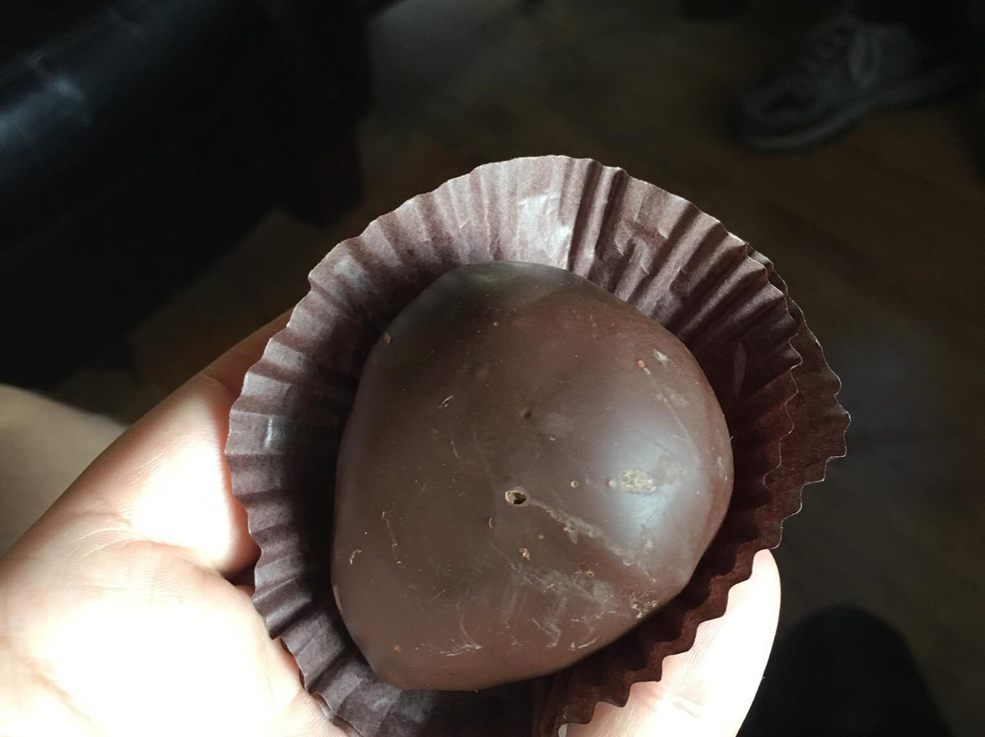 The Chocolate Tree-博福特必去景点