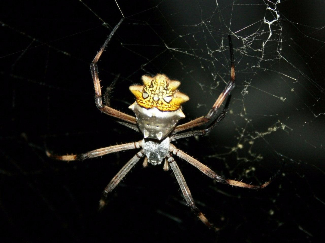 La Reserva Nacional Forestal Bosque de Yotoco-Alcala必去景点