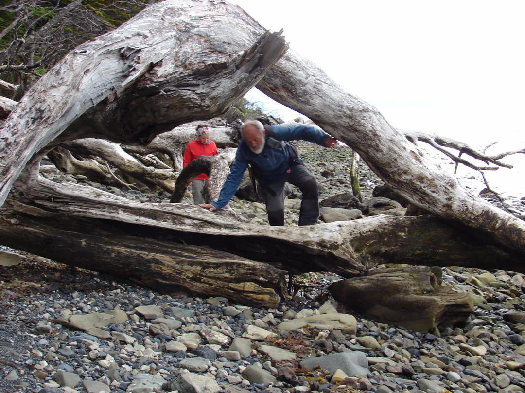 Cabo Froward-蓬塔阿雷纳斯必去景点