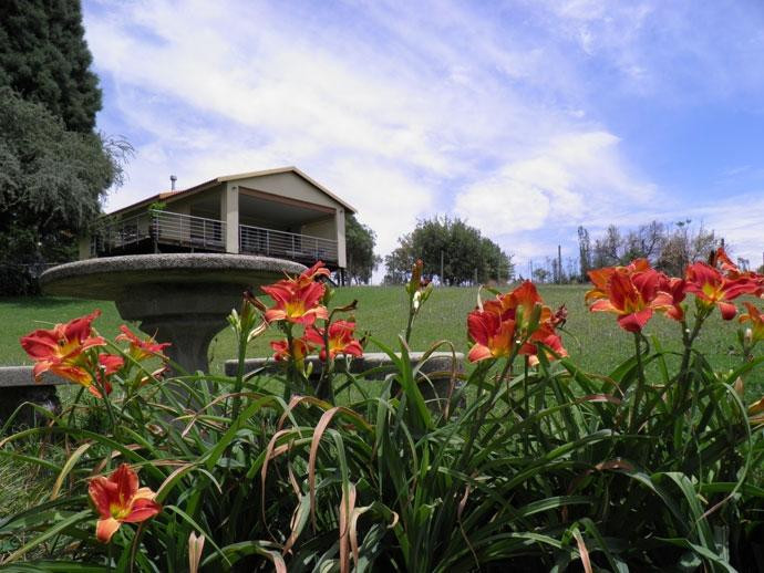 Hills & Dales Accommodation主图