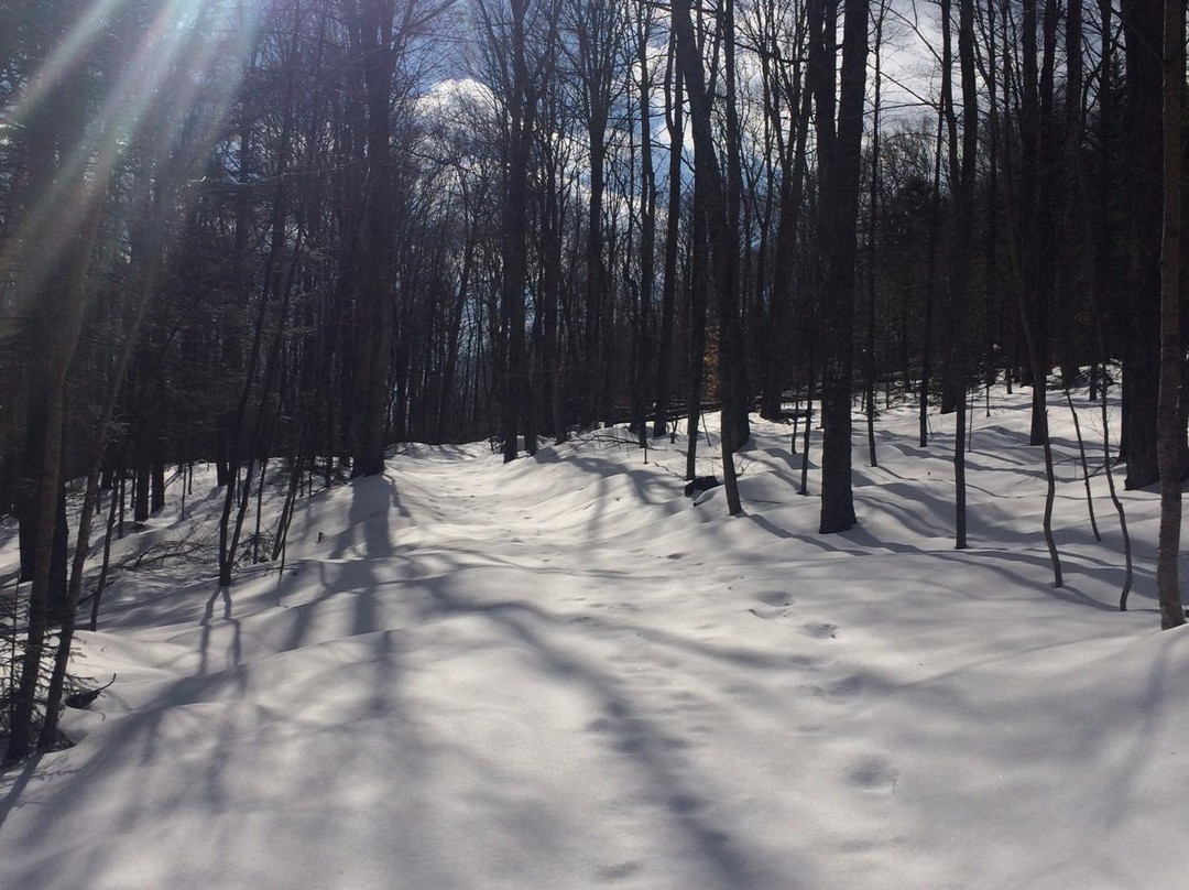 Wild Wings Ski and Yoga-Peru必去景点