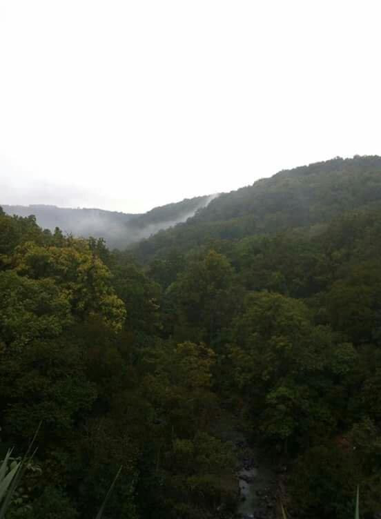 Balaram Ambaji Wildlife Sanctuary‎景点图片