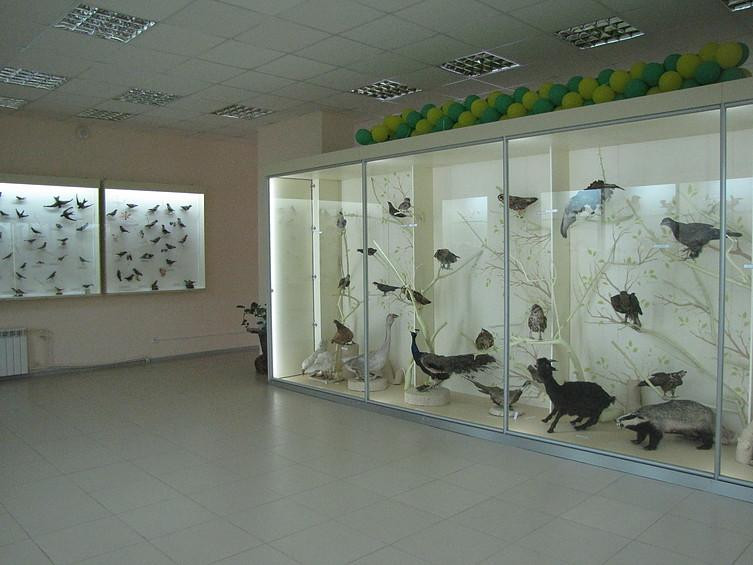 Museum of Nature景点图片