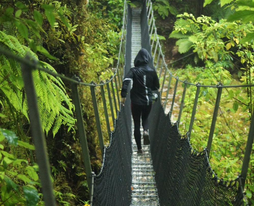 Oparara Kahurangi National Park Guided Tours景点图片