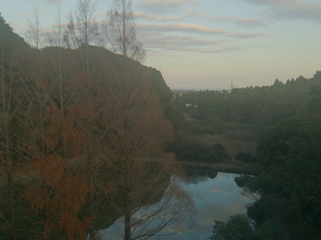 Tsubaki Park-夷隅市必去景点