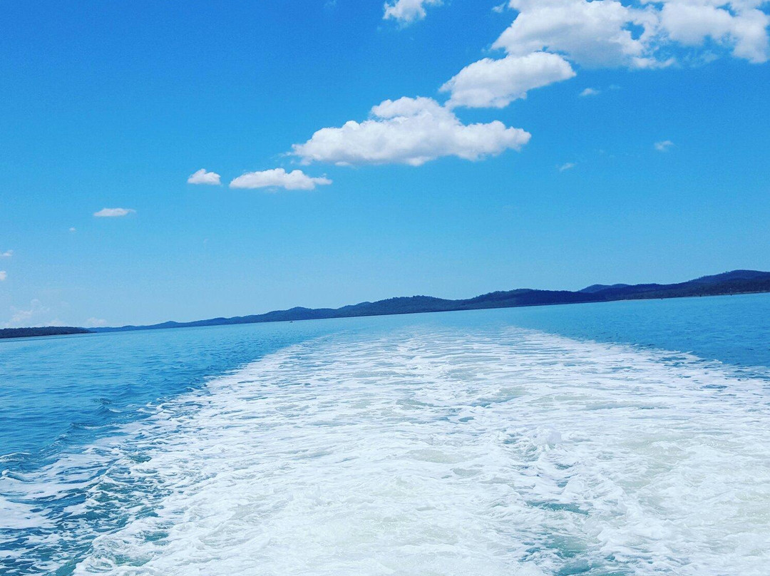 Curtis Ferry Services-Gladstone必去景点