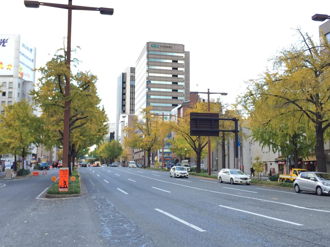 Sakura Avenue Lined with Ginkgo Tree-Naka必去景点