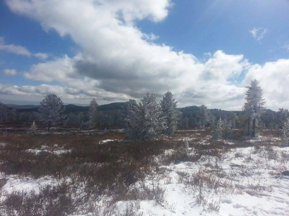 Bogd Khan Uul National Park-乌兰巴托必去景点
