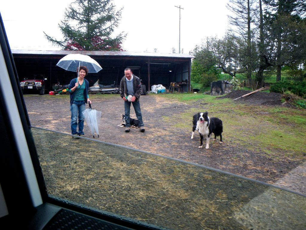 Ishida Sheep Farm-足寄町必去景点