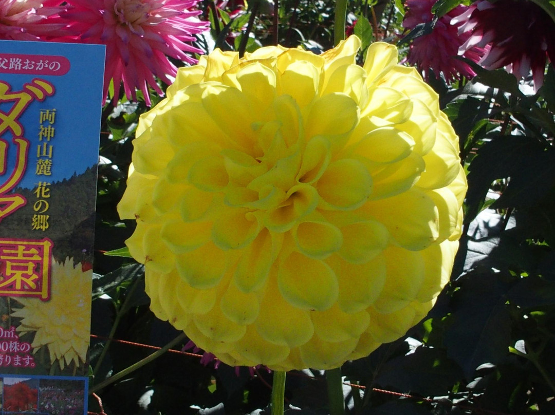 Ogano Town Tourism&Interaction Hall-小鹿野町必去景点