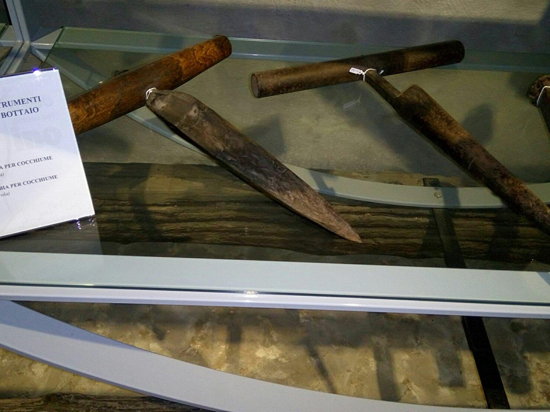 Diffused Museum of Wine-Monte Porzio Catone必去景点