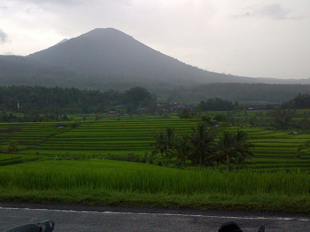 Junas Bali Tour - Day Tours景点图片