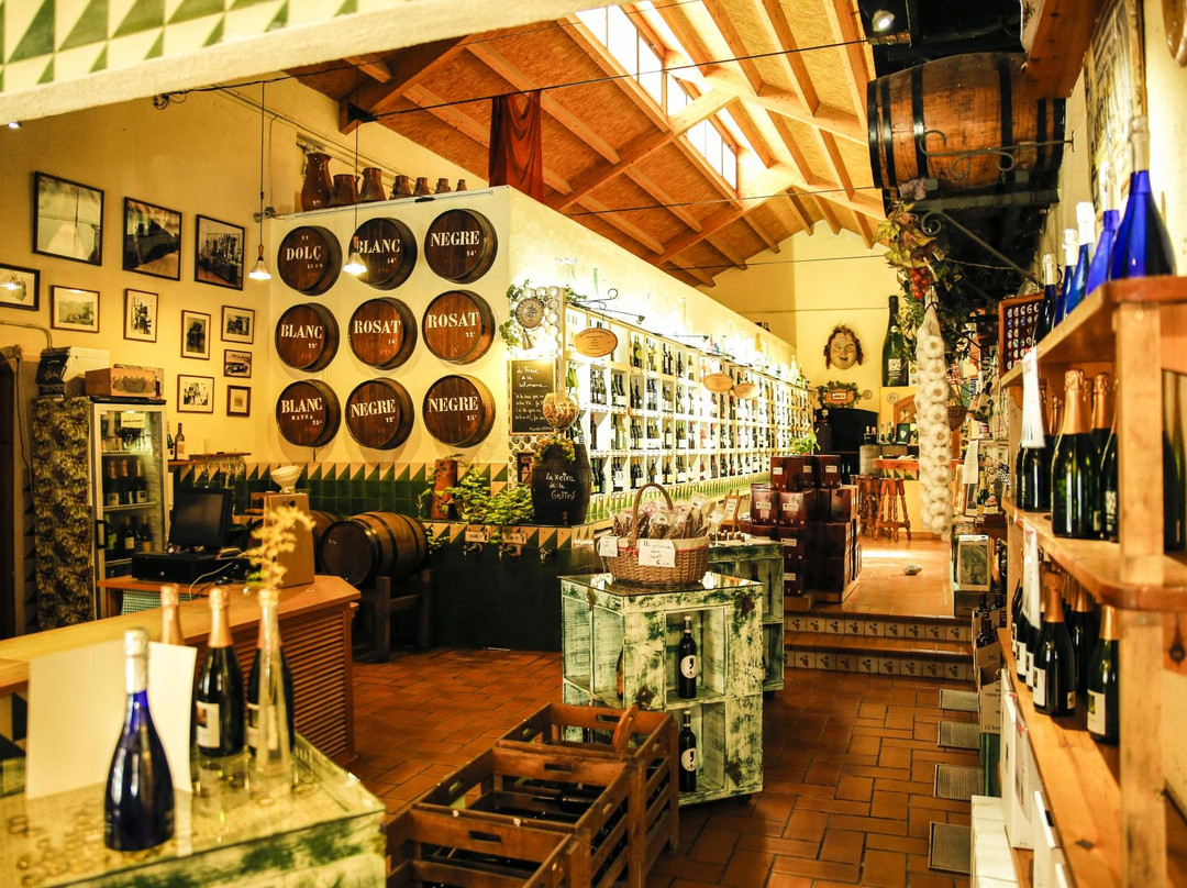比利亚努埃瓦－赫尔特鲁旅游景点-Espai Celler Can Pujol