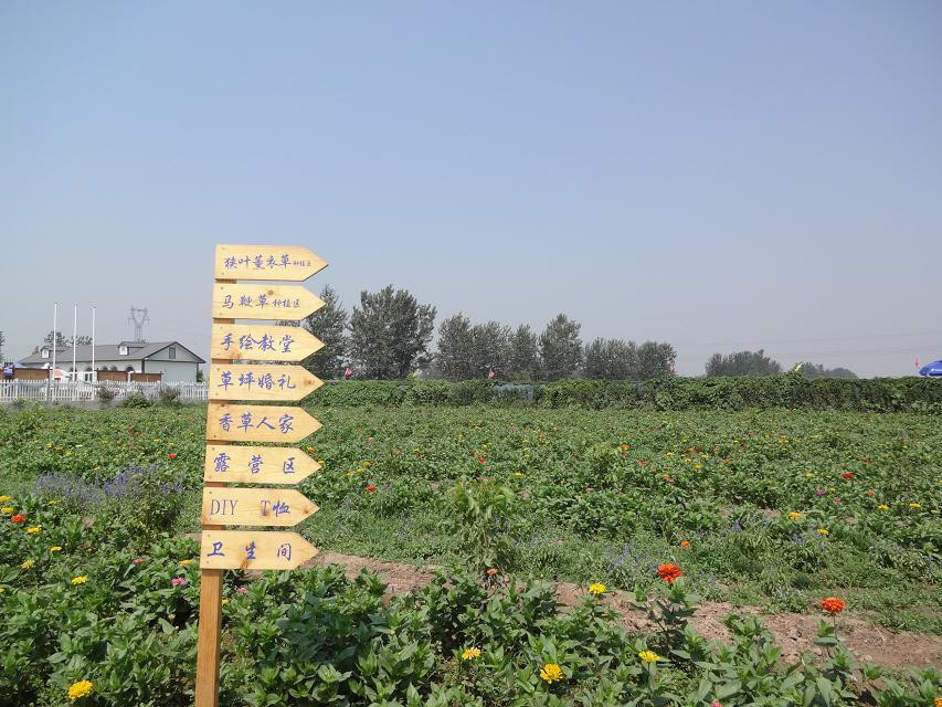 紫海香田薰衣草庄园-石家庄市必去景点