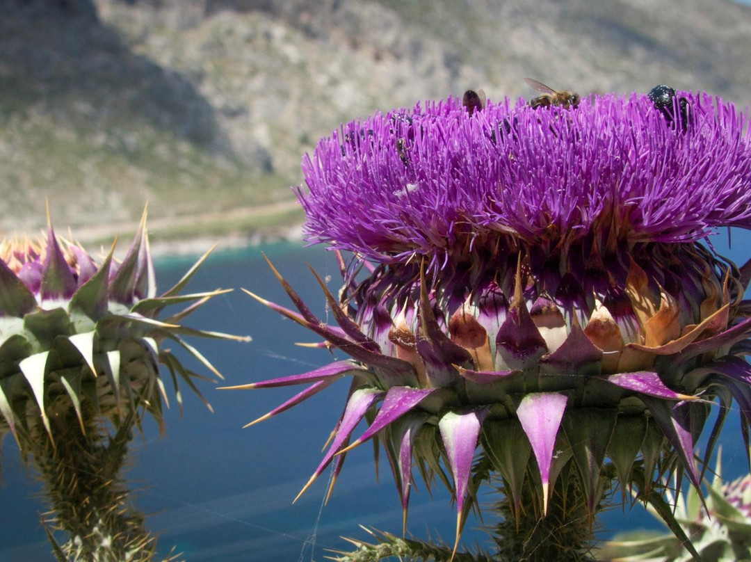 Cink-Kalymnos必去景点
