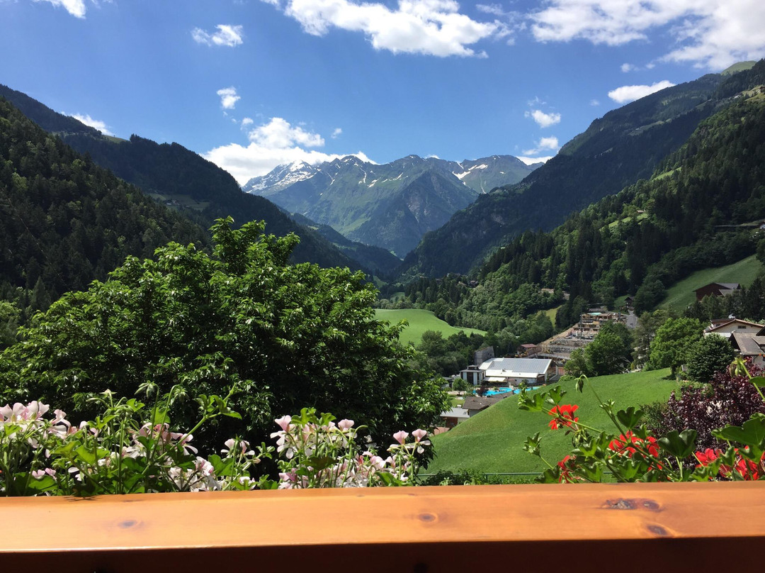 Pension Alpenhof