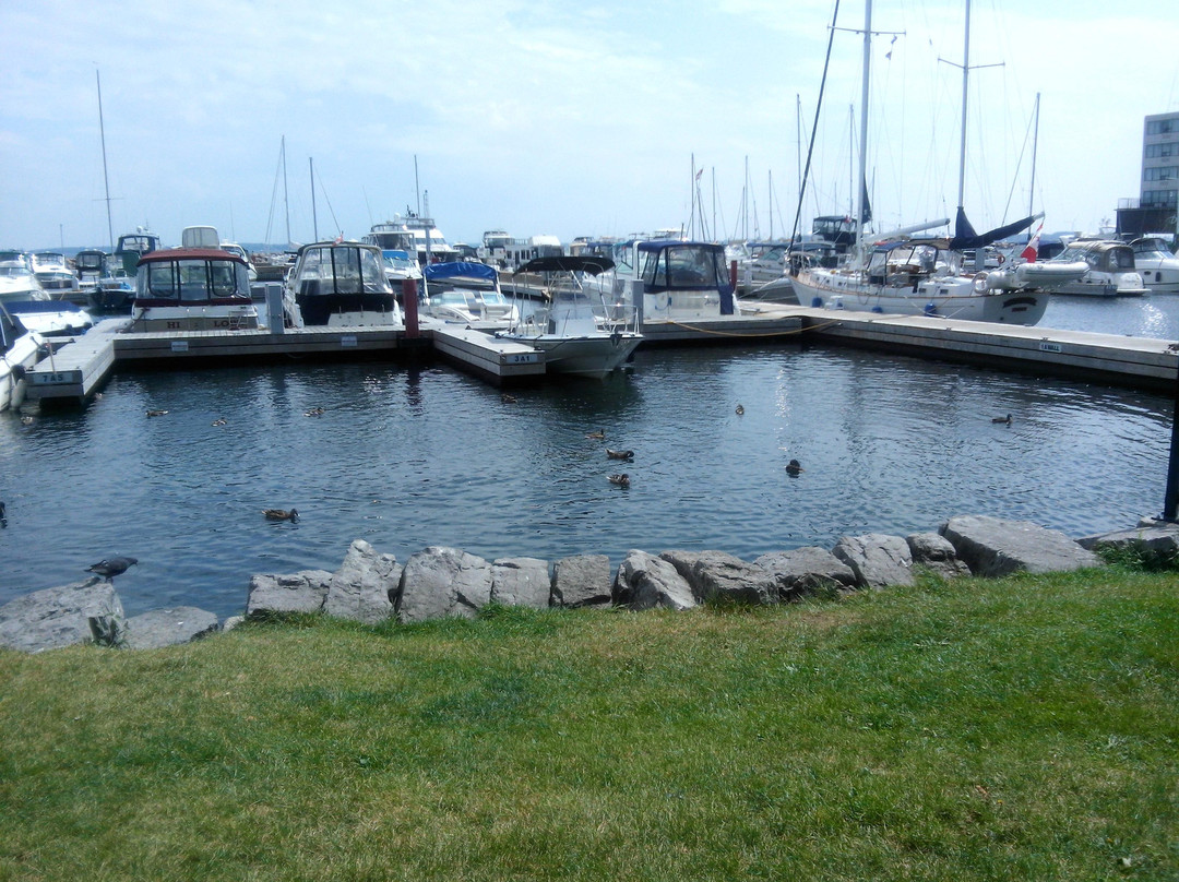 金斯顿海滨区-金斯顿必去景点