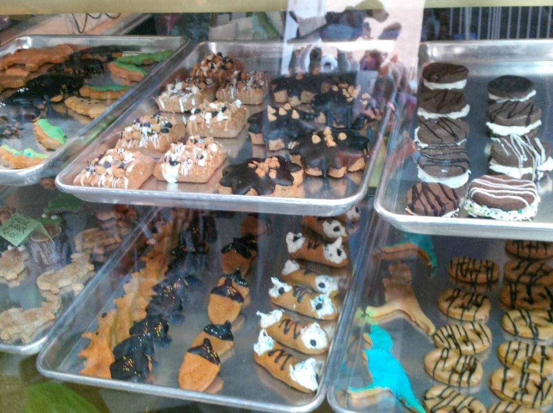 Blue Ridge Dog-哈里森堡必去景点