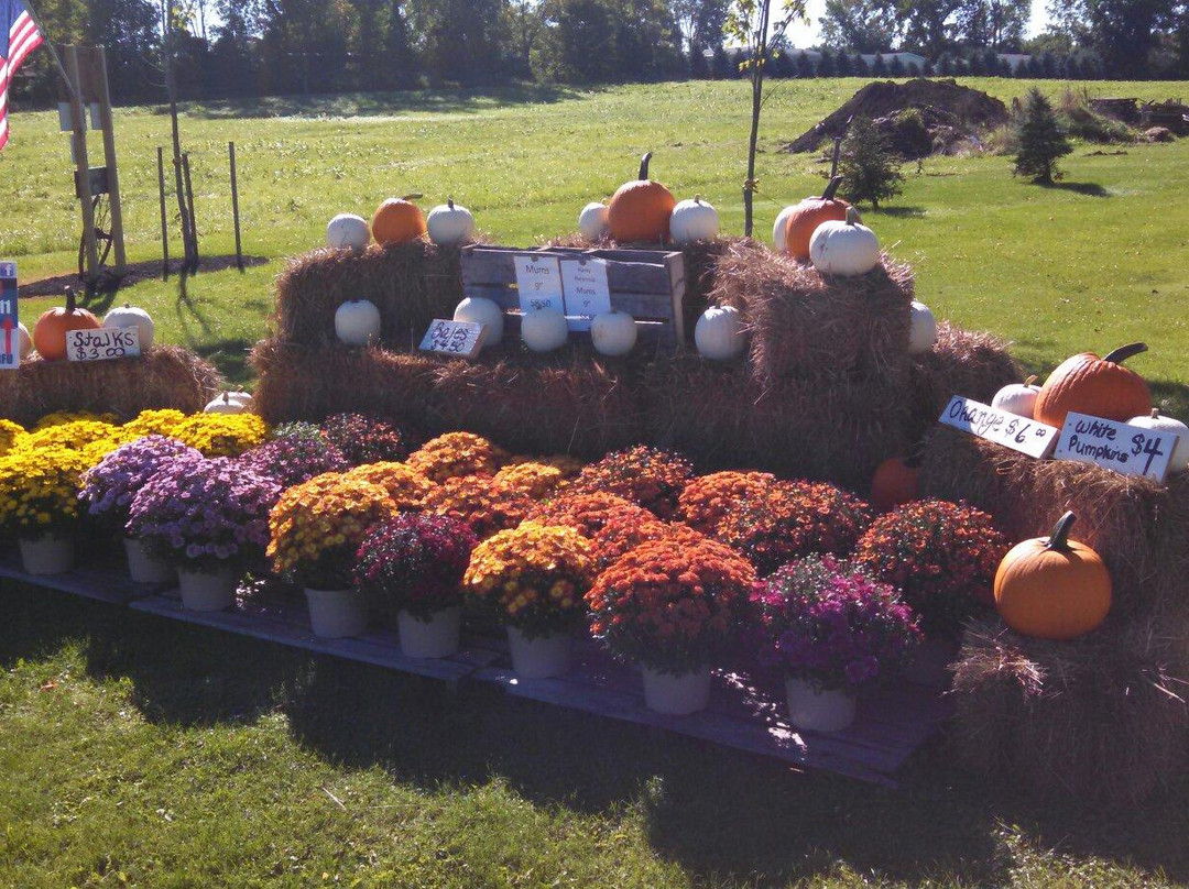 Kozy Kabin-Corfu必去景点