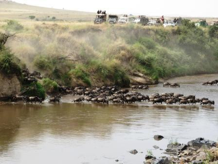 Mara River景点图片